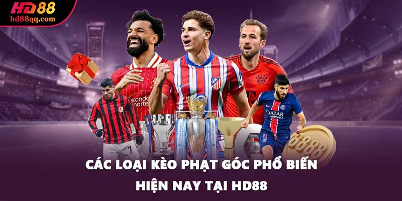 Tìm Hiểu Về Kèo Phạt Góc Và Mẹo Chơi Hay Tại HD88 3 Các loại kèo phạt góc phổ biến hiện nay tại HD88