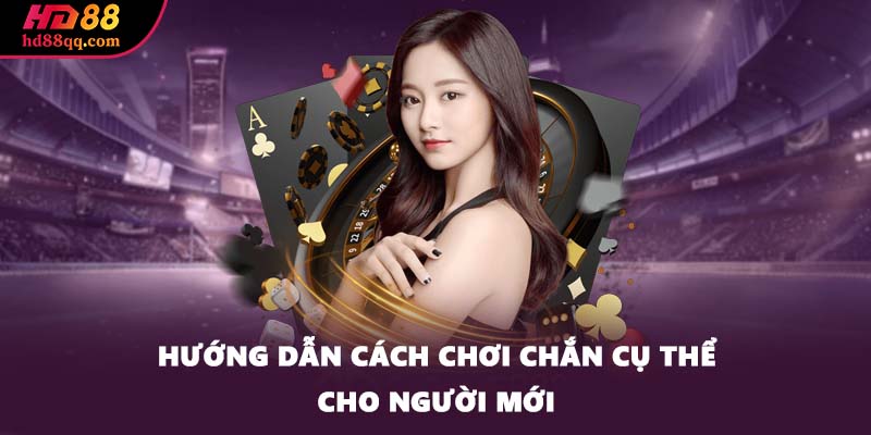 Hướng dẫn cách chơi chắn cụ thể cho người mới