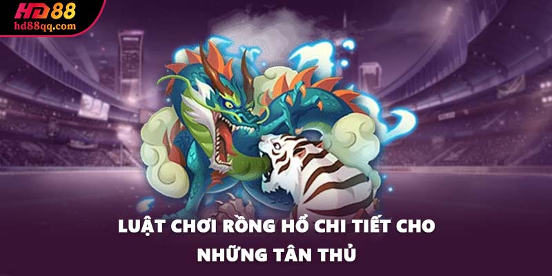 Luật chơi Rồng Hổ chi tiết cho những tân thủ