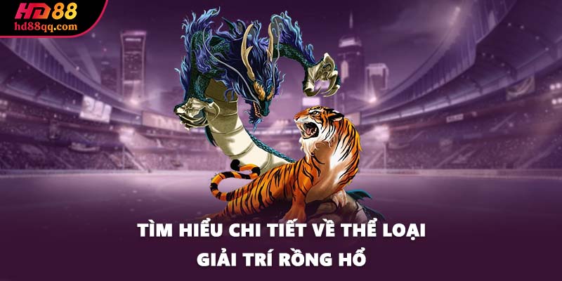 Tìm hiểu chi tiết về thể loại giải trí Rồng Hổ